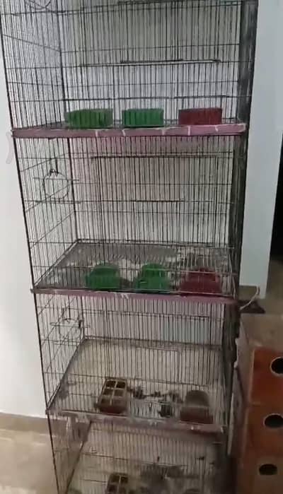 4 portion cage with box