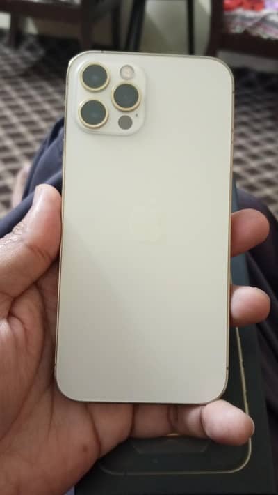 iphone 12 pro (both sims slot unused) (03111238080)