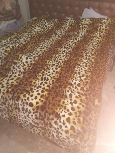Cheetah Print New Blanket
