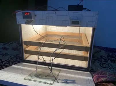 Egg Incubator
