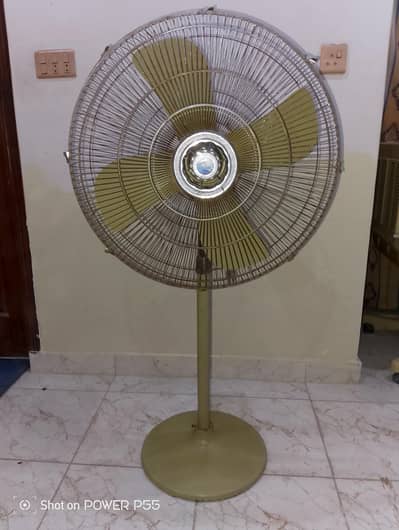 Pedestal Fan