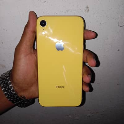 i phone xr yellow colour