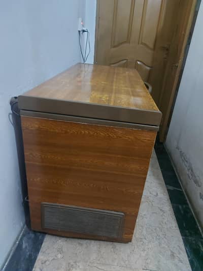 waves deep freezer  in good condition