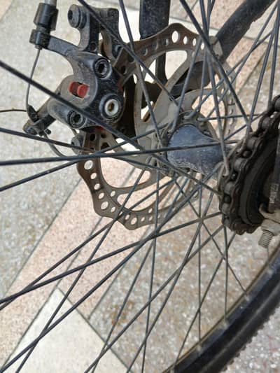 contact no 03212506549