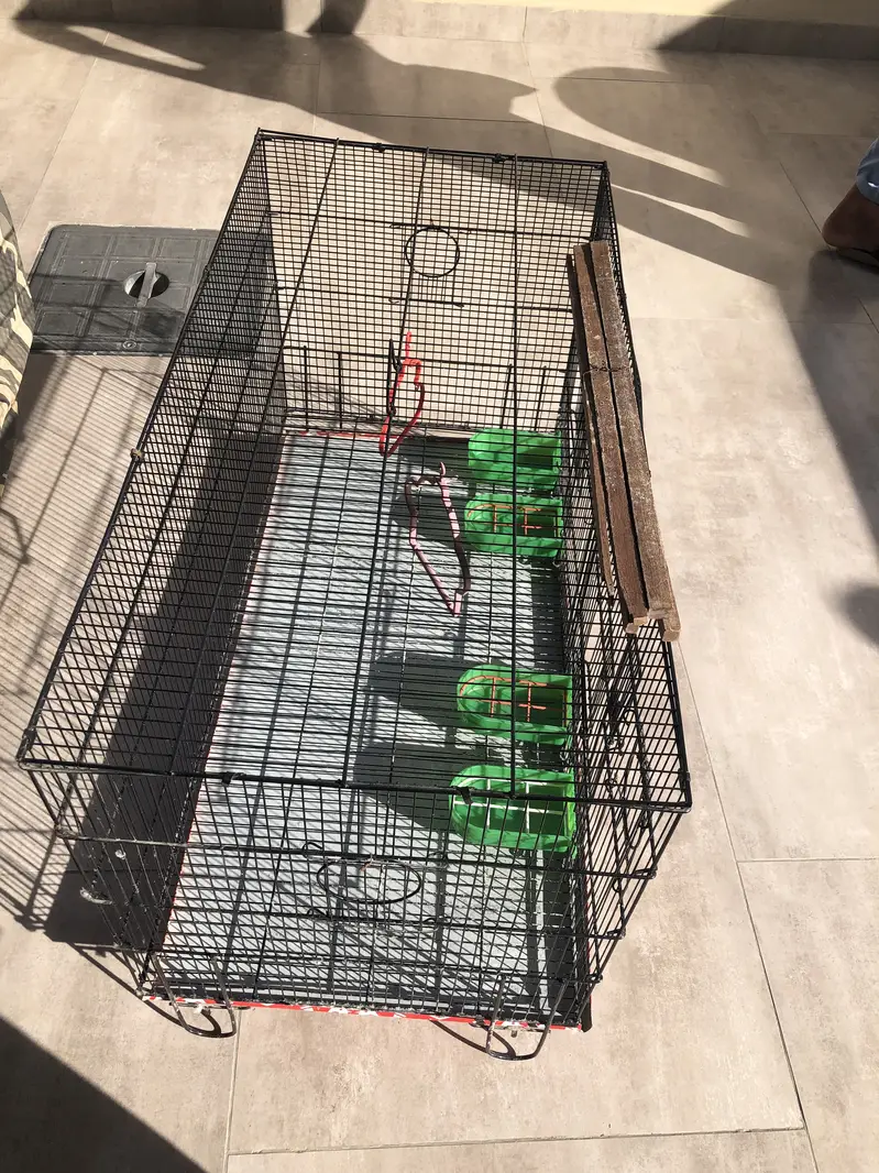 Birds cage — photo 3