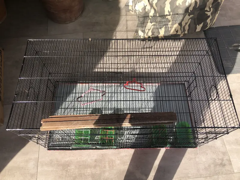 Birds cage — photo 4