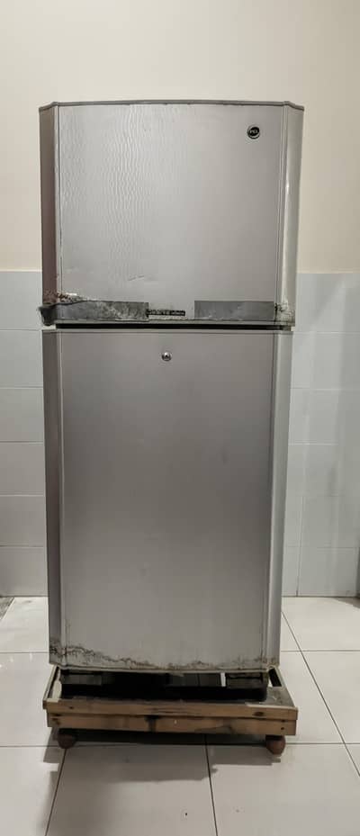 PEL Desire Infinite single door refrigerator ( middle size )