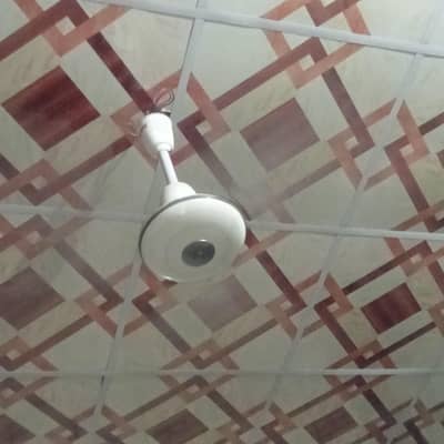 Royal ceiling fan