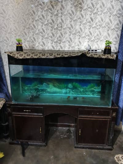 Fish Aquarium