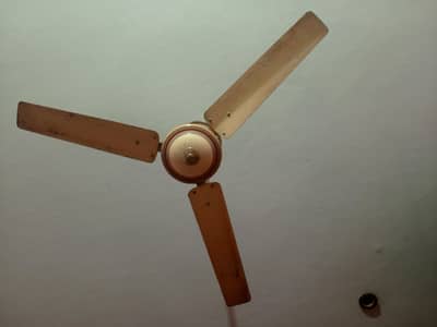 ceiling fan
