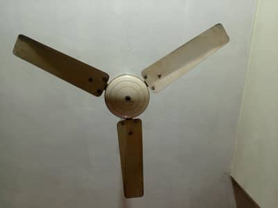 ceiling fan