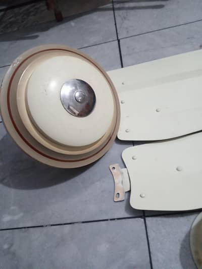 Celling fan 9/10 condition