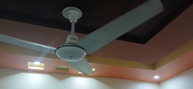 Pak fan and Royal fans  56'