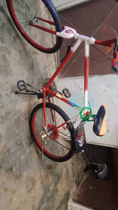 Phoenix Original Bycycle