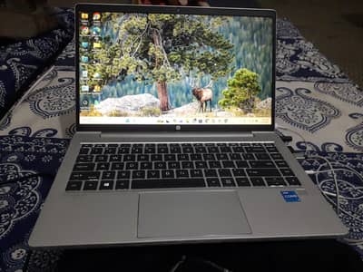 HP ProBook G8 i5 11th Gen | 16GB RAM | 256GB SSD | Excellent Conditio