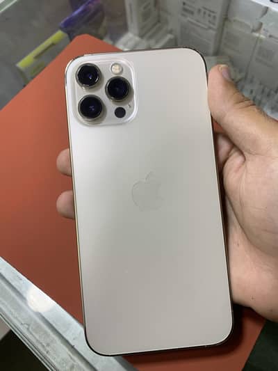 Iphone 12 Pro Max 256Gb