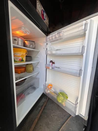 urgent sale bilkol ok haai