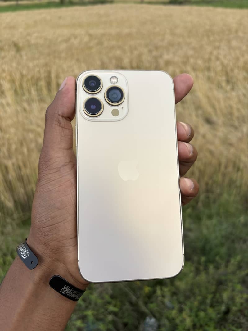 iPhone 13 pro max 1