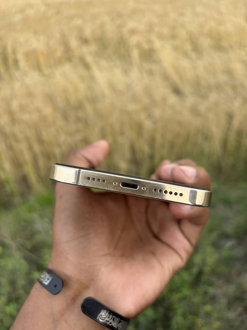 iPhone 13 pro max 2