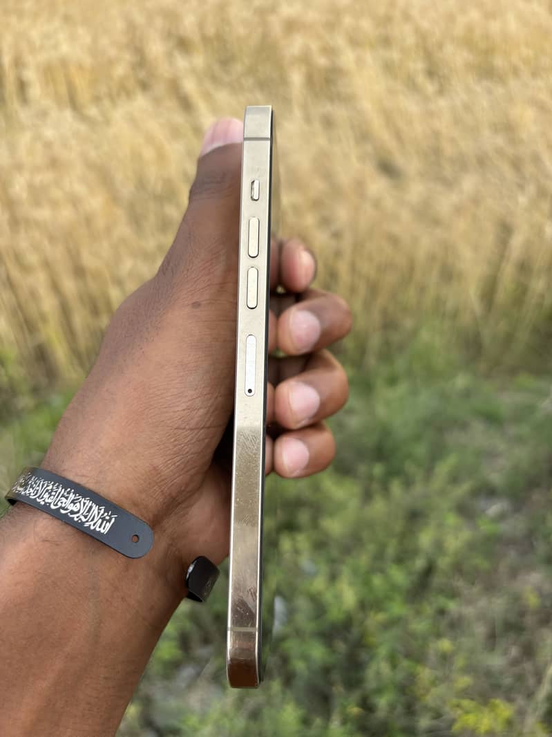 iPhone 13 pro max 3