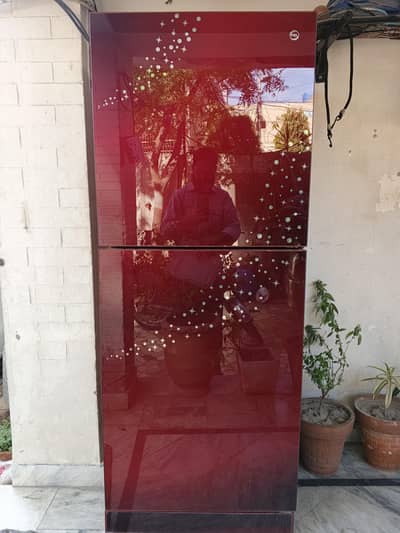 pel full size fridge