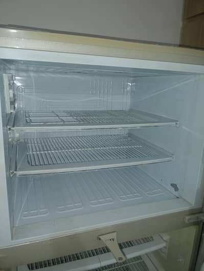 pel compny frig with two door best cooling