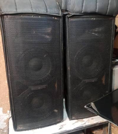 speaker's pair double 12 "