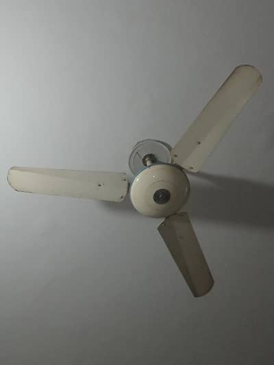 Royal fan 48' inches