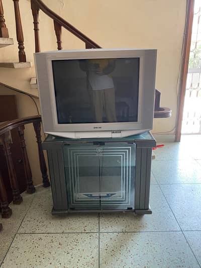 TV Trolley | Thick Glass with Cabinets