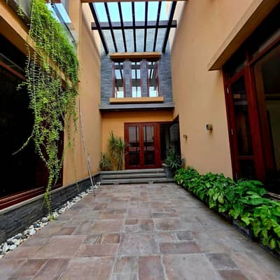 Highly-Desirable 600 Square Yards House Available In DHA Phase 6
