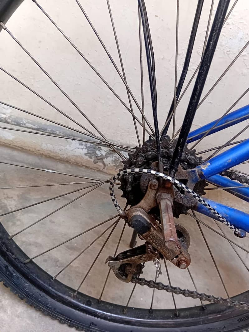 no issue in cycle 2