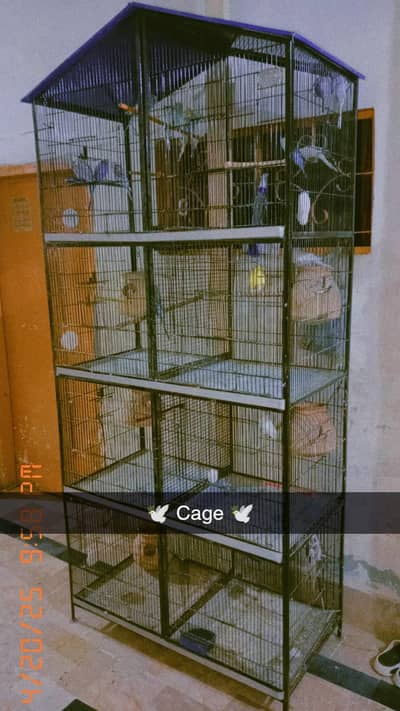 8 Portions Birds Cage
