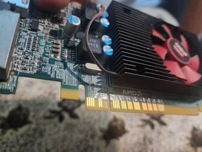 AMD  Radeon r7 200 series