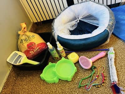 Cat Accessories for Sale just one day used