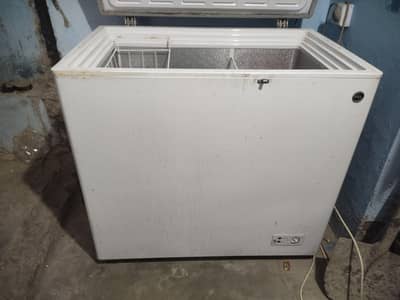 PEL Arctic Pro Deep Freezer
