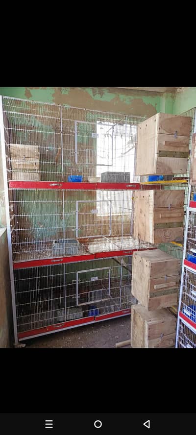 3 portion full floding colony cage