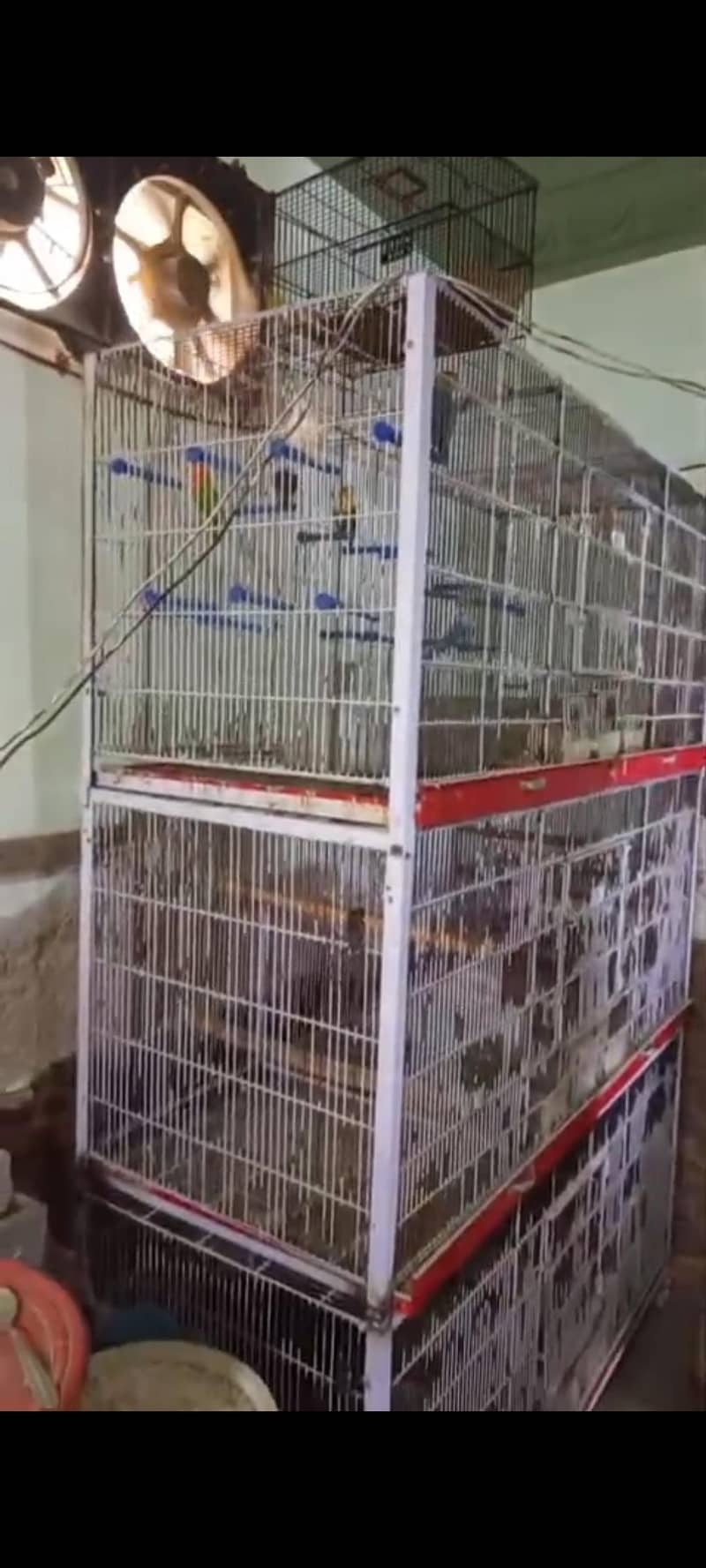 3 portion full floding colony cage 1