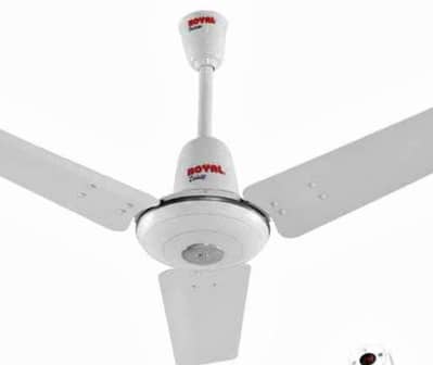 selling fan