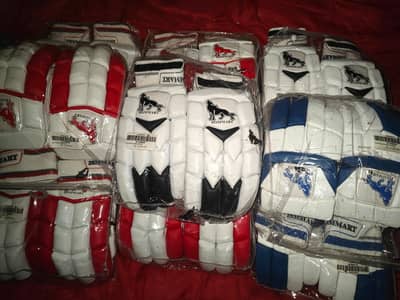 Cricket Gloves & Pads (Pro-Grade)