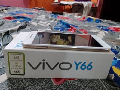 vivo y66 pta approve