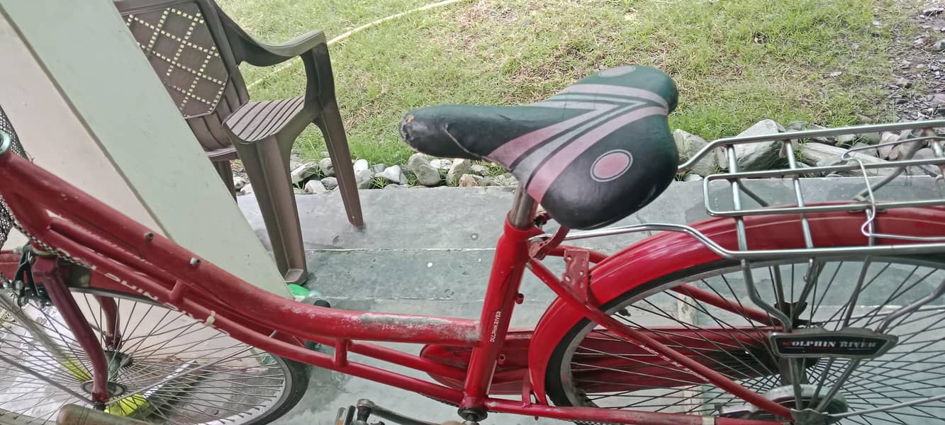 multiple size cycle available 1