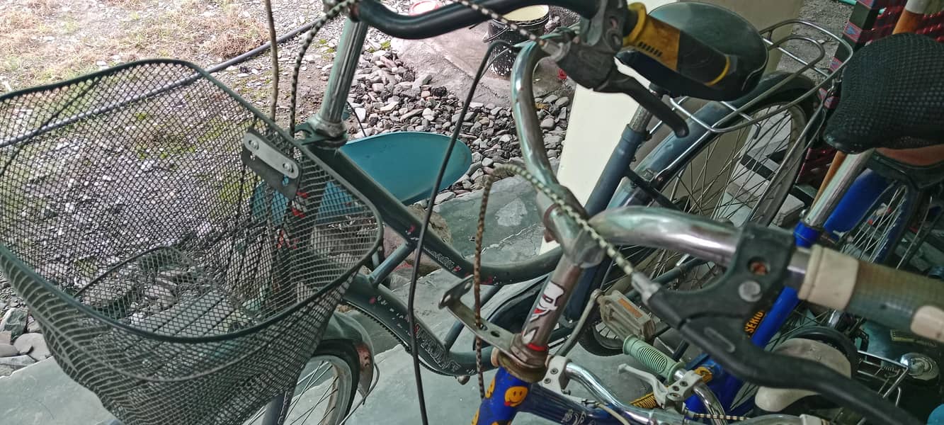 multiple size cycle available 3