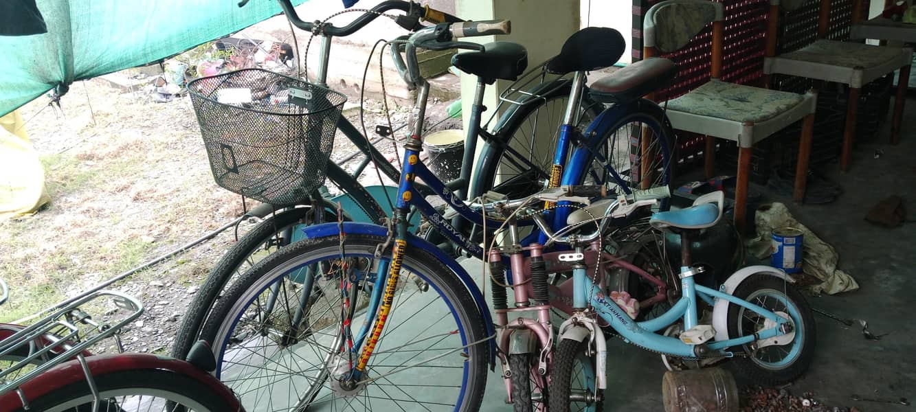 multiple size cycle available 6