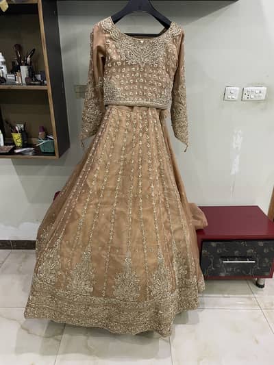 Bridal lehnga full hand work on it
