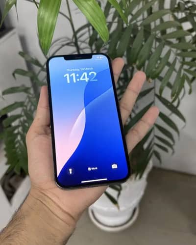 IPhone 13 Pro Max - Lush Condition Phone