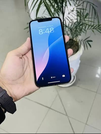 12 Pro Max - Blue  - Lush Condition