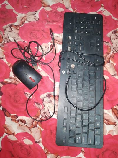 keyboard and mouse