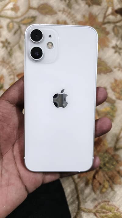 iphone 12 mini