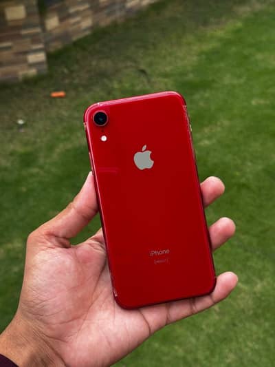 Iphone XR pta 64gb
