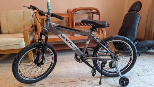 Viper Bicycle size 20